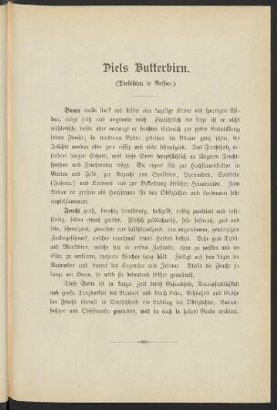 Diels Butterbirn. (Dielsbirn in Nassau.)
