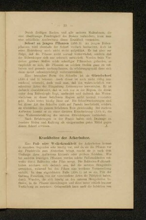 Krankheiten der Ackerbohne.