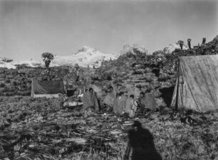 Zeltlager : Aufgeschlagene Zelte der Expedition im Mount-Kenya-Massiv