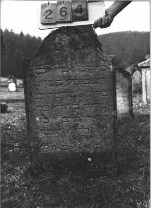 Grabstein 264 (Index: 100009251) Maße HxBxT: 91x48x8 cm: Grabstein 264