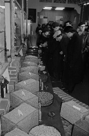 Messebesucher in der Ausstellungshalle Bulgariens vor einer Präsentation unterschiedlicher Getreide