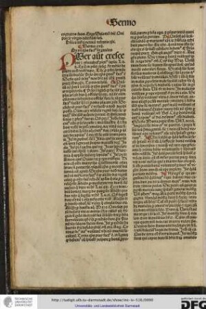 Quare Christus factus sit parvulus.