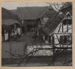 Rheinzabern, Hof mit Tabak
