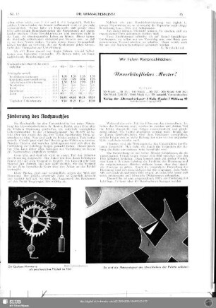 Förderung des Nachwuchses