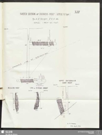 XIII. Sketch section of Duchess Reef (Little B. Synd.)
