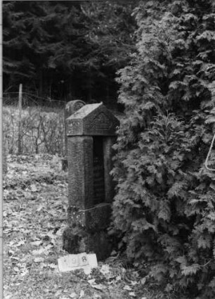 Grabstein 198