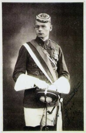 Bienenstamm, Hans-Werner von