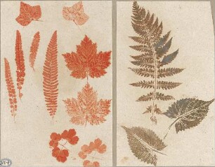 Lange, Ludwig; Lange - Archiv: XIII.7 Blätter - Ansichten