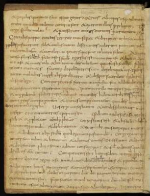 Fragment: Biblia sacra (Teil 1, 9. Jh., siehe auch hinten im Einband)