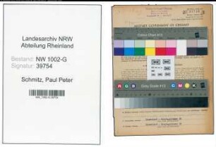Entnazifizierung Paul Peter Schmitz, geb. 07.08.1887 (Kaufm.Direktor)