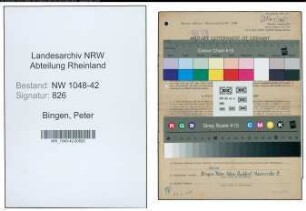 Entnazifizierung Peter Bingen , geb. 13.01.1906 (Gaertner)
