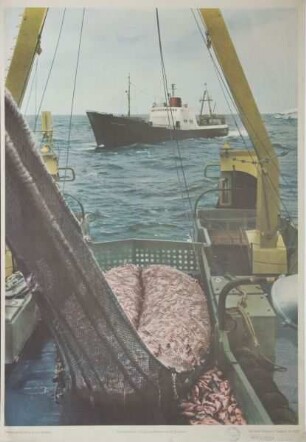 Fischdampfer