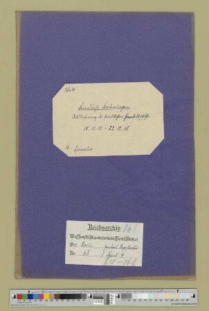Auslieferung der feindlichen Handelsschiffe: Bd. 2