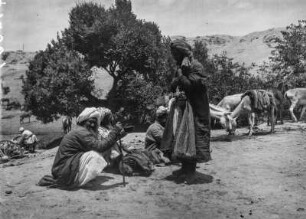 Markt. Gruppe einheimischer Männer und grasende Esel : Samarkand. Markt. Gruppe einheimischer Männer und grasende Esel