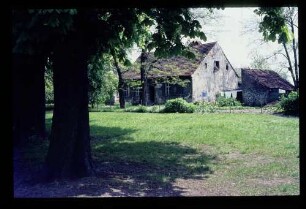 Lübars Dorfaue 26.5.70.