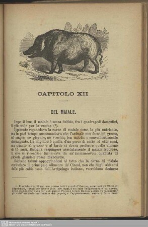 Capitolo XII. Del maiale