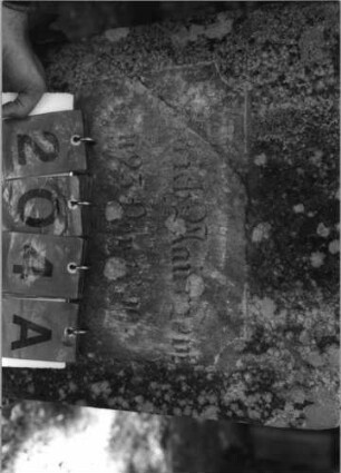 Grabstein 204 (Index: 99789785) Material: Sandstein Zustand: verwittert mit fast vollständigem Textverlust des hebräischen Textes Maße HxBxT: 122x49x16 cm Besonderheit: Stele identisch mit Nr. 343: Grabstein 204A