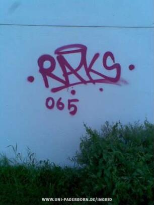 RAKS 065
