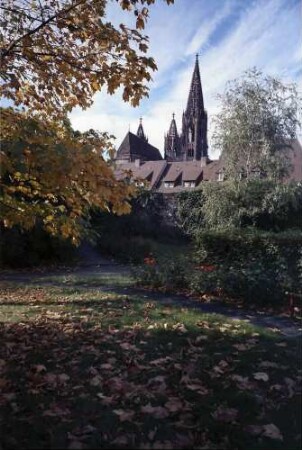 Freiburg: Münster vom Evangelischen Stift mit Herbstlaub