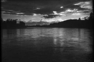 Am Rhein bei Weisweil