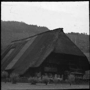 Der Vogtsbauernhof