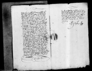 Angelegenheiten des Heinrich und Nicolas Vicken aus Riga in Livland