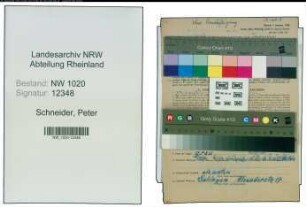 Entnazifizierung Peter Schneider , geb. 16.03.1881 ()
