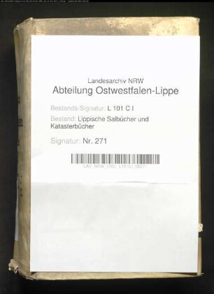 Salbuch der Vogtei Hohenhausen von 1824, Bd. 1