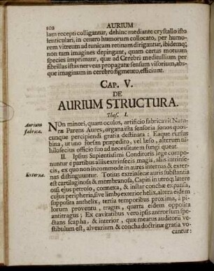 Cap. V. De Aurium Structura.