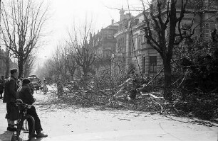 Freiburg: Gefällter Baum versperrt Goethestraße