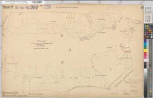 Küntrop (Neuenrade), Garbeck (Balve), Umlegung Küntrop, Bl.15 Urkarte I Neuenrade Flur 5;9