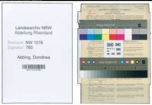 Entnazifizierung Dorothea Abbing , geb. 13.05.1902 (Beamtin)