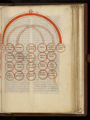 Schema arboris affinitatis