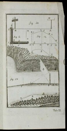 Tab. II. fig. 10 - fig. 13