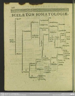 Sceleton Somatologiae