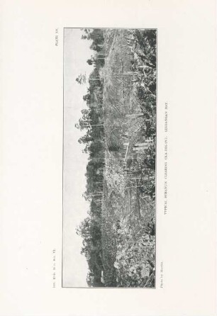Plate XV. Typical Subanun clearing (Ka-Ing-In). Sindagan bay