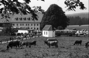 Wies: Kühe weiden an der Kirche