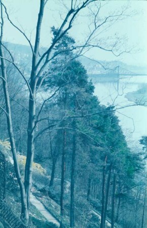Schloss Eckberg, Park : Westliches Alpinum, Blick in Richtung Elbe mit "Blauem Wunder", Schloss Eckberg, Park