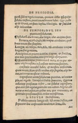 De Temporibus, Seu quantitate syllabarum.
