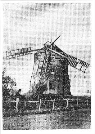 Reichenbach/O.L.. Windmühle, aus: Neuer Görlitzer Anzeiger vom 30.10.1931