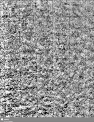 Lilienschild + IESV / LW 0 S.23/24