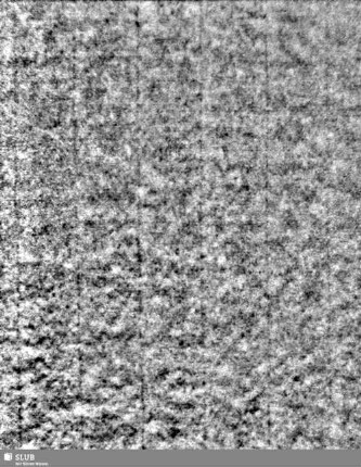 Lilienschild + IESV / LW 0 S.23/24