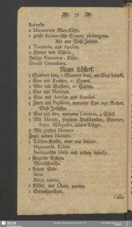 Neun Küsten