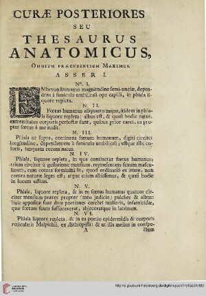 Curae posteriores eu thesaurus anatomicus