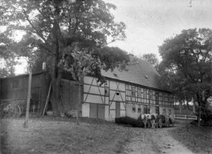 Bauerngut mit Ochsengespann