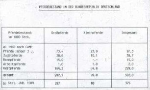 Übersicht: Pferdehaltung, Auslauf