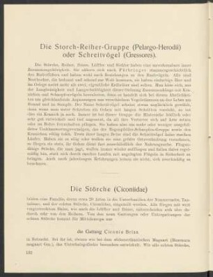 Die Storch-Reiher-Gruppe (Pelargo-Herodii) oder Schreitvögel (Gressores)