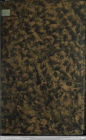 Den in einen Cometen verwandelten Kirchen-Stern, Wolten Bey dem Höchst-seeligen Ableben Des ... Herrn Joh. Deutschmanns, Der Heiligen Schrifft Weit-berühmten Doctoris ... Als derselbe Den 12 August. 1706. ... verschieden, Und Den 16 Eiusdem in die hiesige Schloß-Kirche beygesetzet, ... Bey höchst-schmerzlichen Beyleid sich vorstellen
