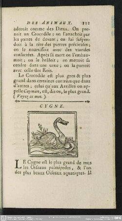 Cygne