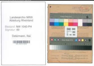 Entnazifizierung Ilse Determann , geb. 20.07.1900 ()